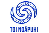 Kaituruki - Programme Director