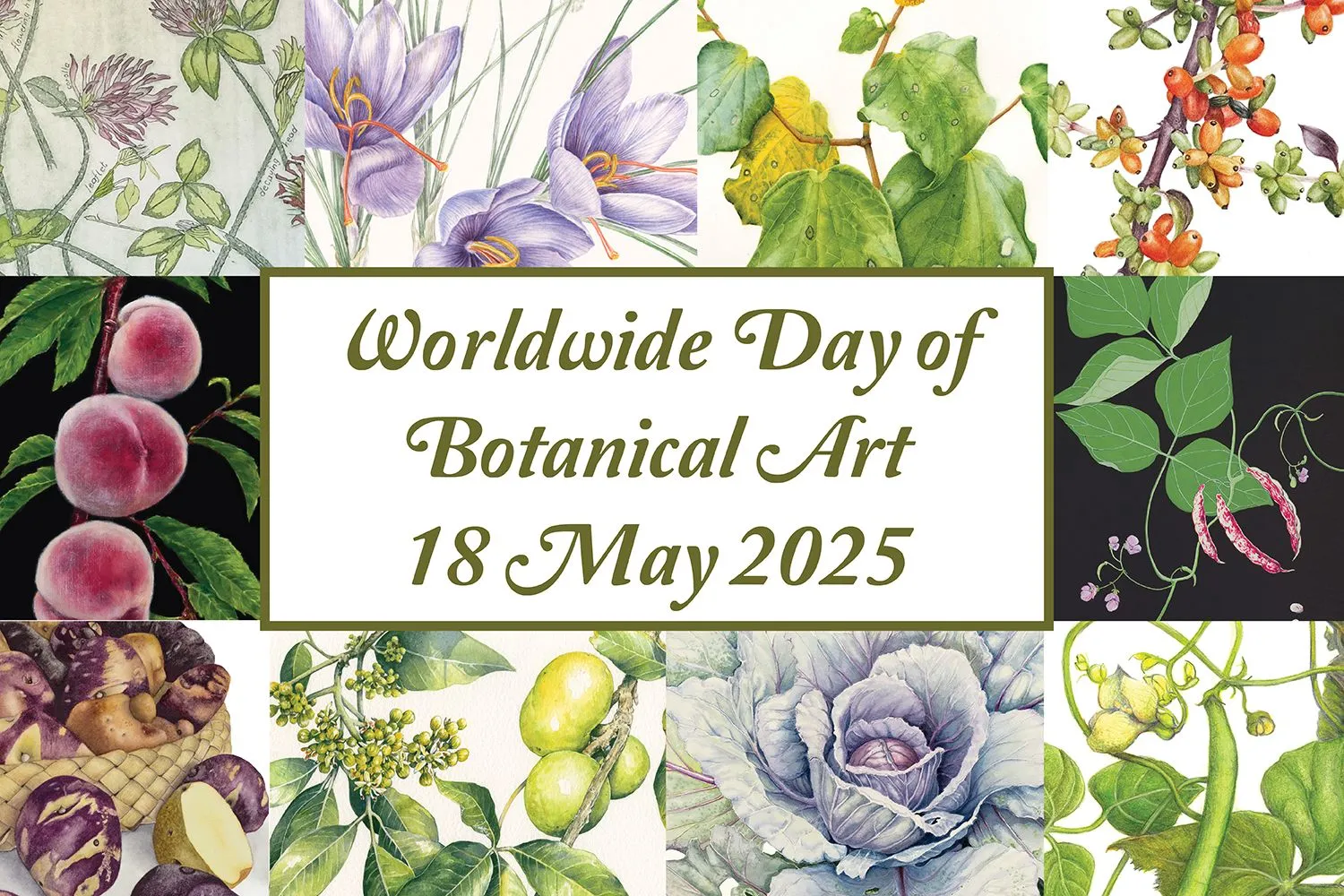Worldwide Day of Botanical Art 2025 - come and help us celebrate