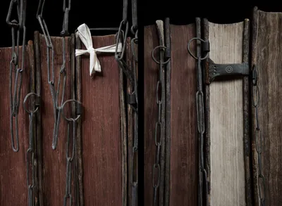 Artist Talk: Mickey Smith on Morphologies