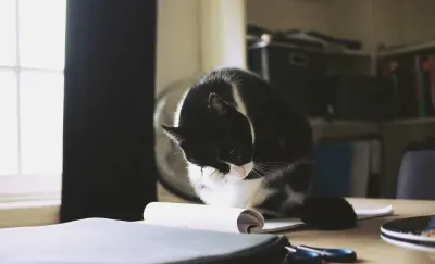 The ultimate guide to working from home and staying focused