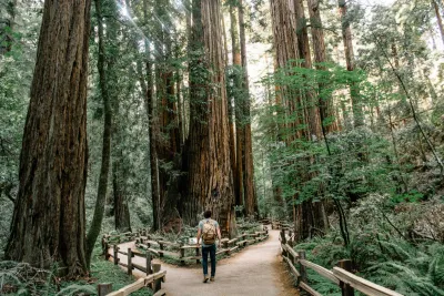 How to stop worrying about not having one career path