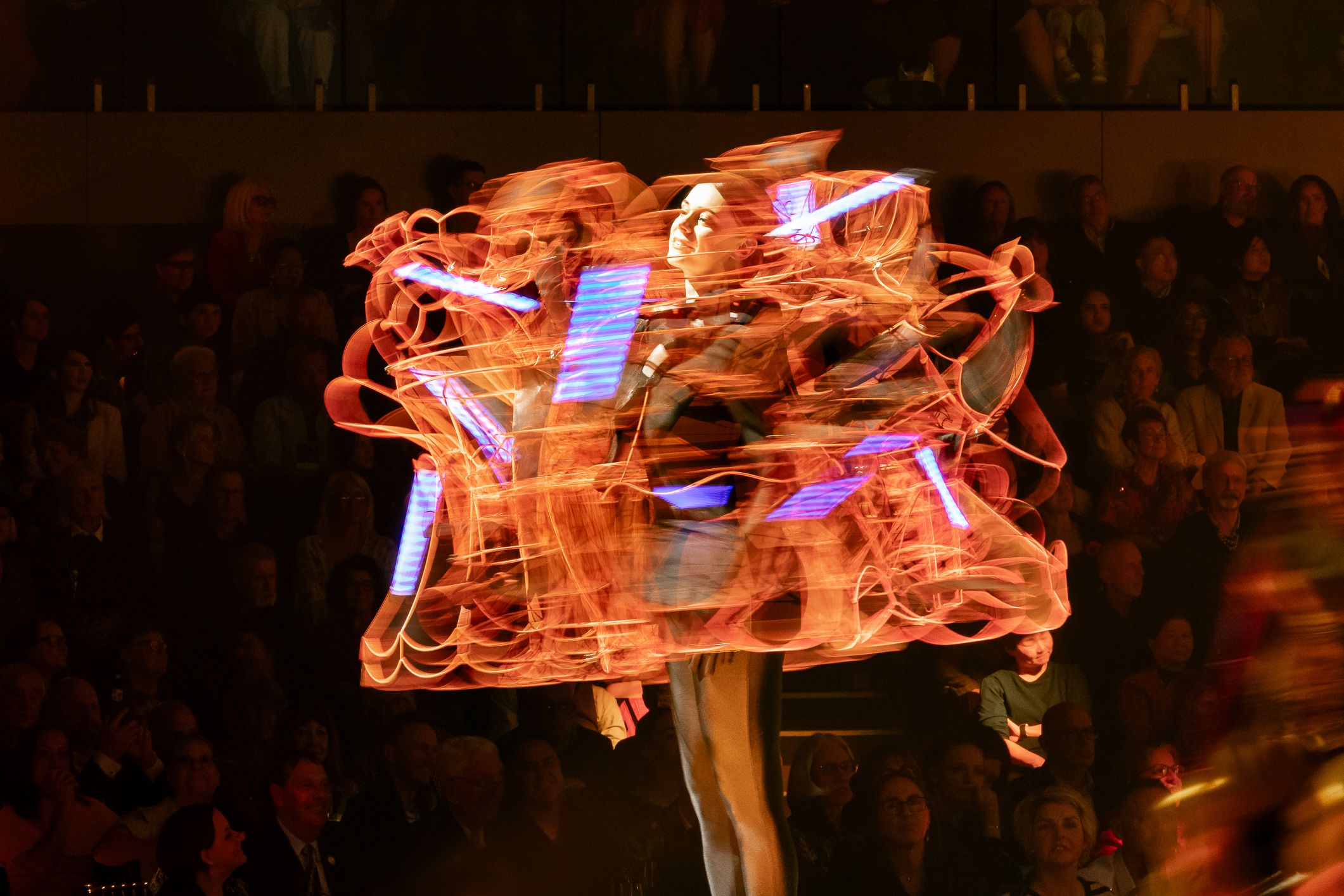 Enlighten, Christopher Davis, New Zealand (14).jpg