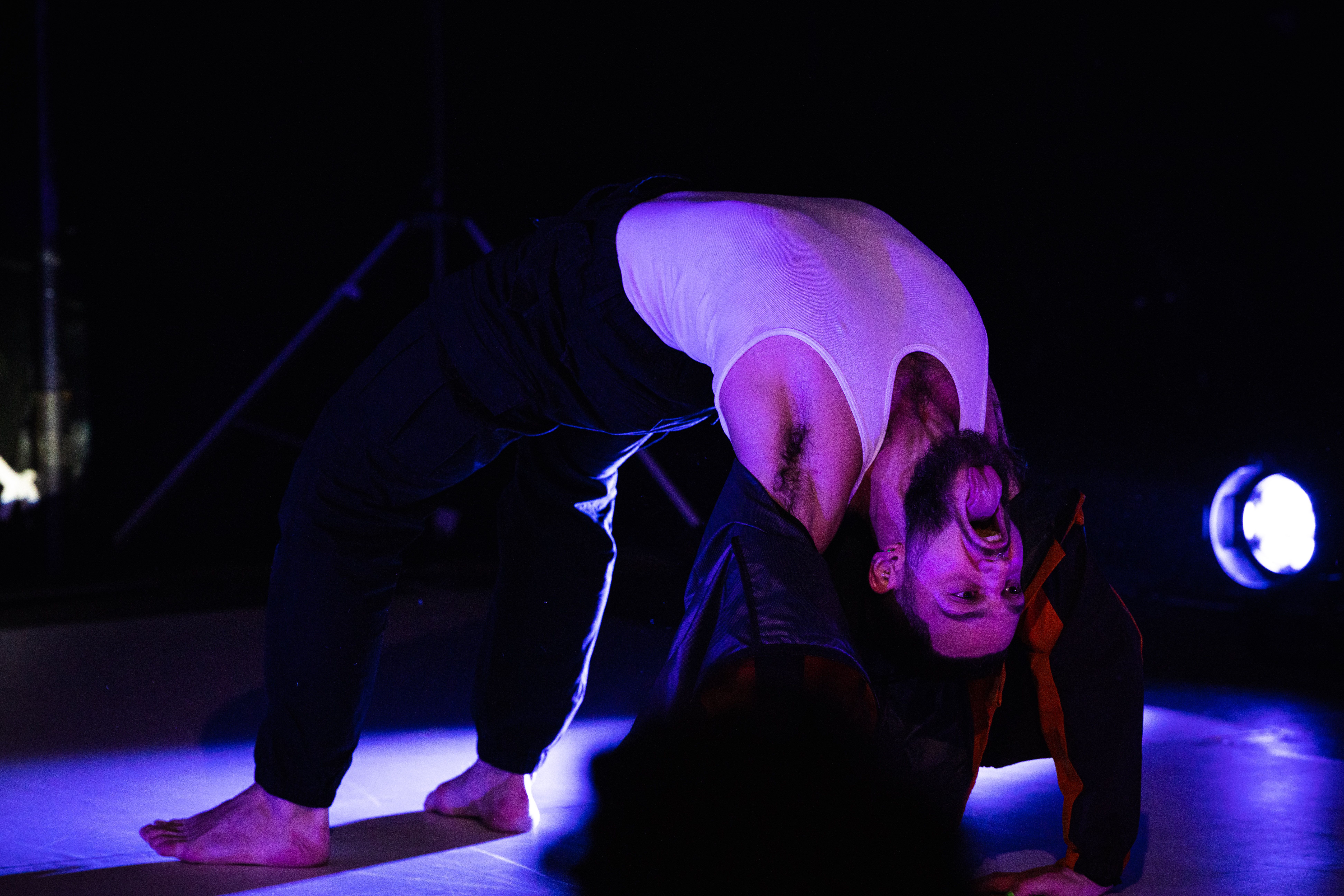 F.O.L.A ARTIS Panos.jpg
