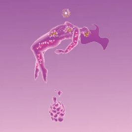 Kurawaka.png