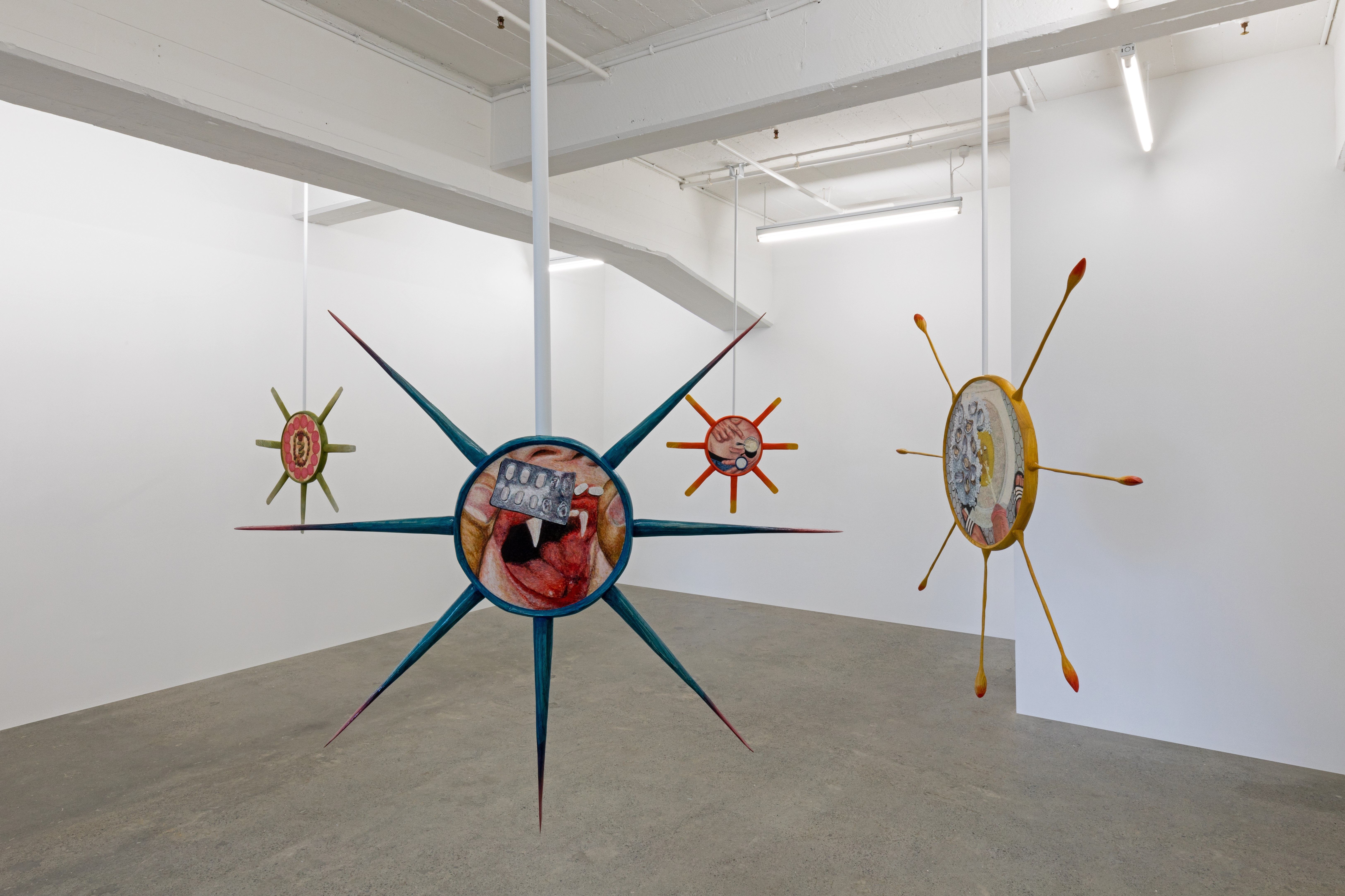 Owen Connors, Incubations, 2021 (installation view), Robert Heald Gallery. Photo courtesy the artist and Robert Heald Gallery.jpeg