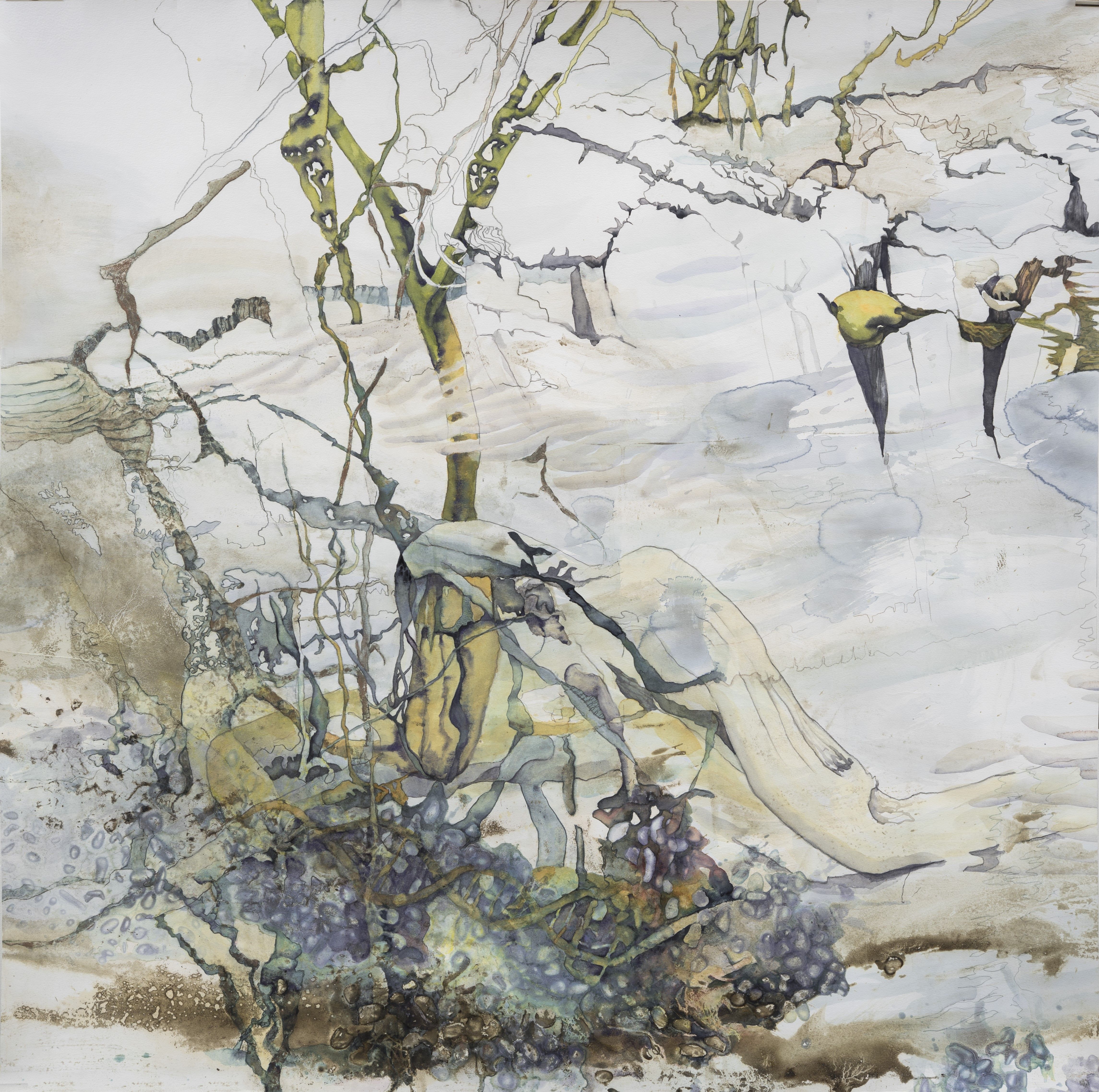 Sonja Drake Drawn in Sediment,Watercolour paint, pencil and sediment paint on 300 gm Canson watercolour.jpeg