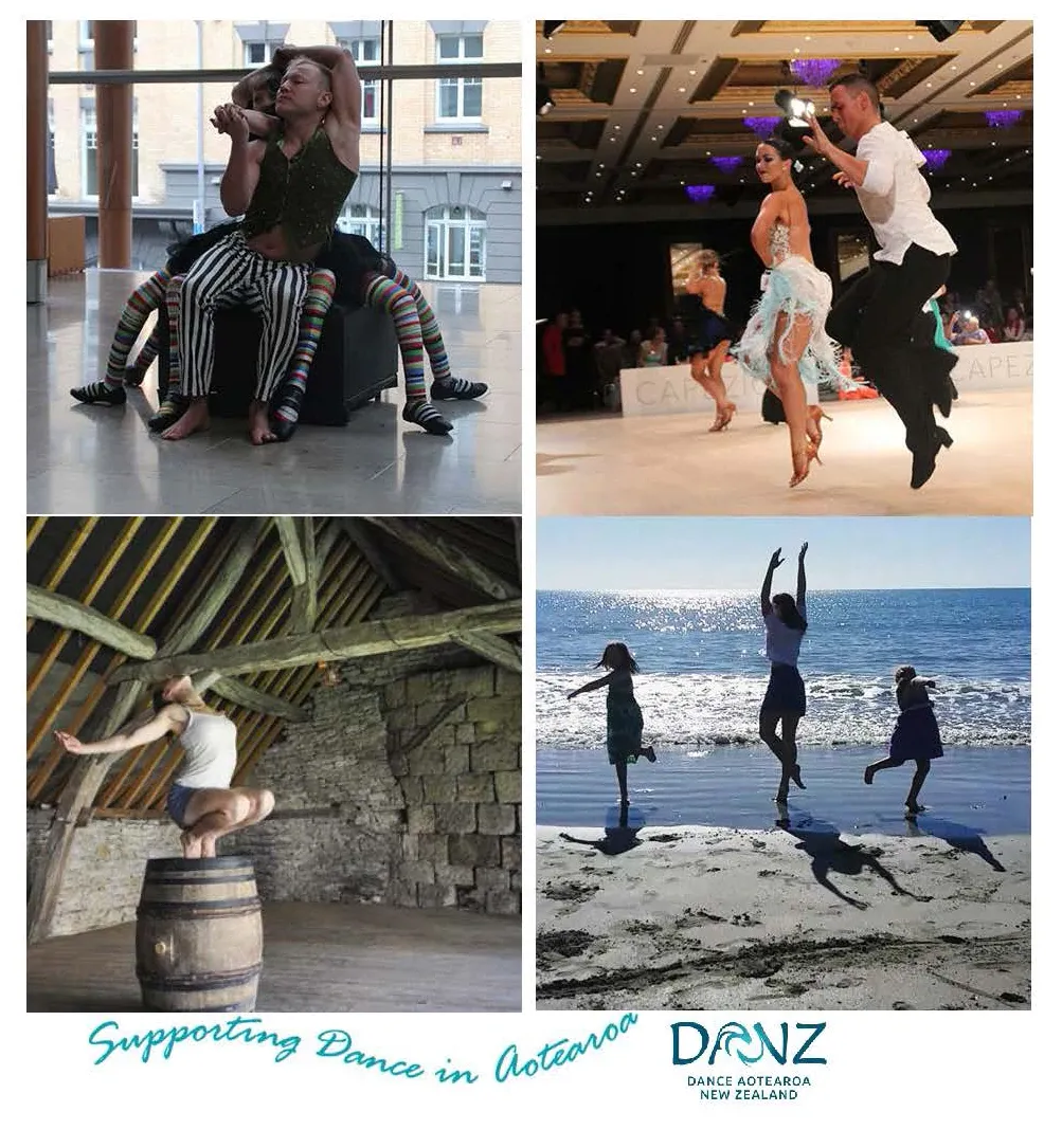 Changes at DANZ Board | The Big Idea