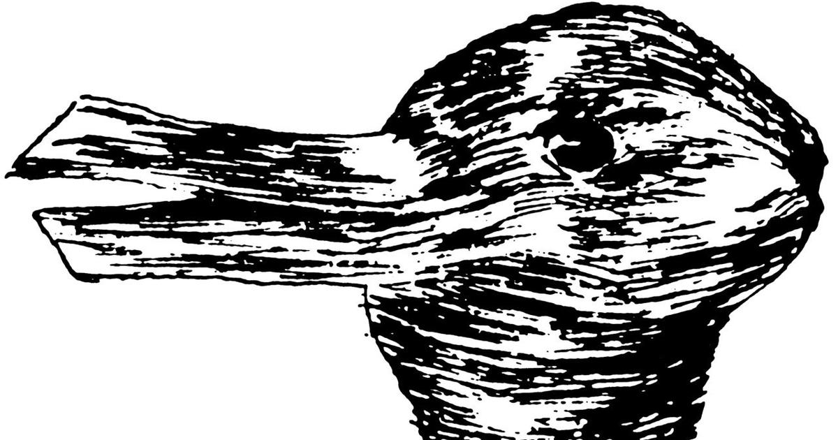 duck or rabbit.jpeg