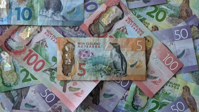 CNZ Reveals How It Will Spend $22m Funding Top Up