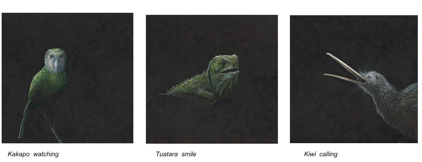 tuatara smile.jpg